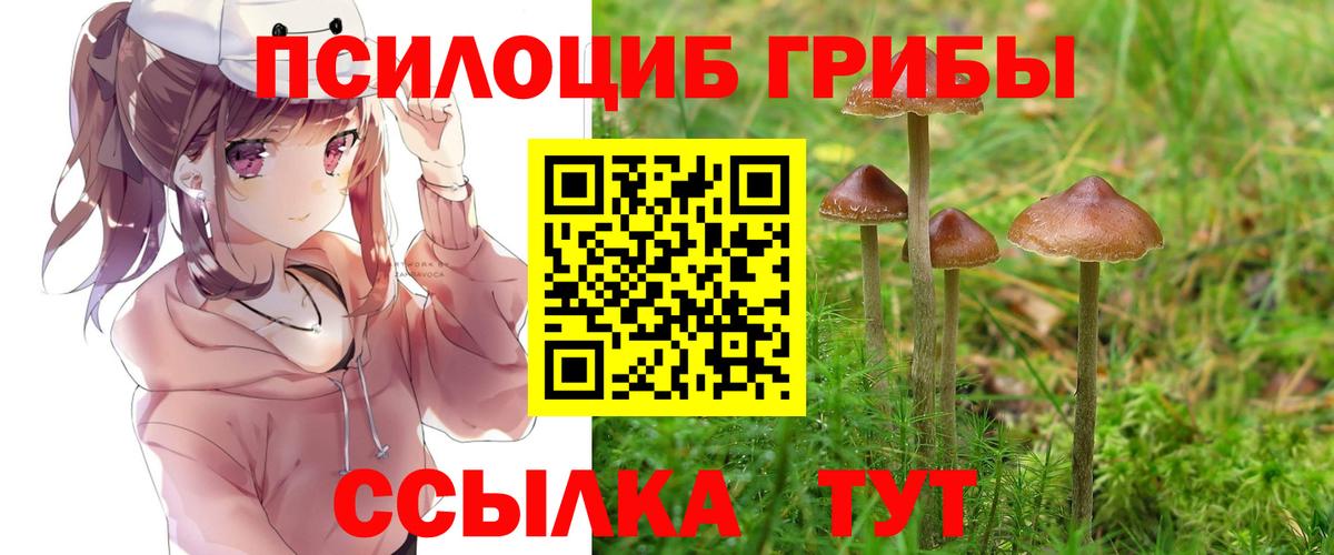 Псилоцибиновые грибы Psilocybine cubensis  Вход с VPN  Воткинск  Псилоцибиновые грибы MAGIC MUSHROOMS 